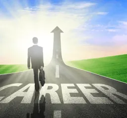 Career Switcher Professional