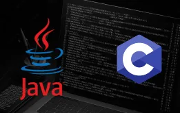 Primer of Java and C Course in Chennai